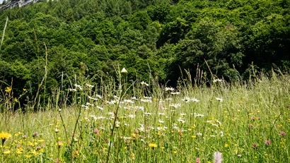 Wellness experiences by Hotel San Giacomo