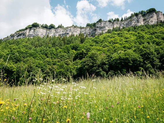 Wellness experiences by Hotel San Giacomo