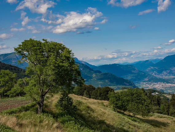 Wellness experiences by Hotel San Giacomo